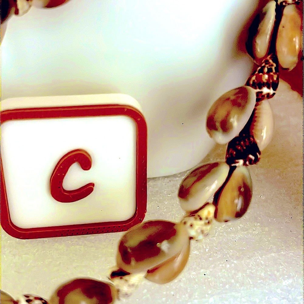 Cowrie Shell/SeaSnail Shell Mix Necklace Market - Picture 7 of 9